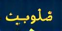 شعار تقى للحلول المالية في التذييل